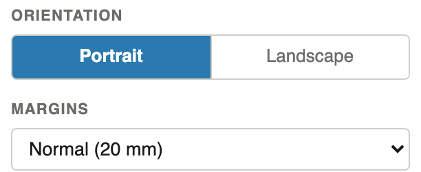 Orientation and margin settings in the Notion PDF export panel